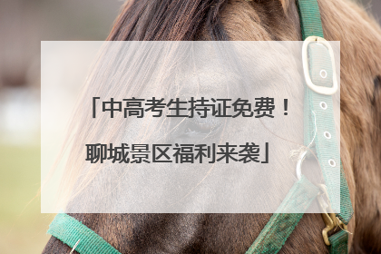 中高考生持证免费！聊城景区福利来袭